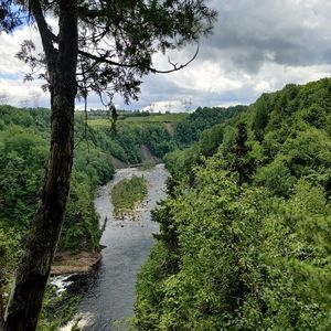 Meet your Posher, Sofia